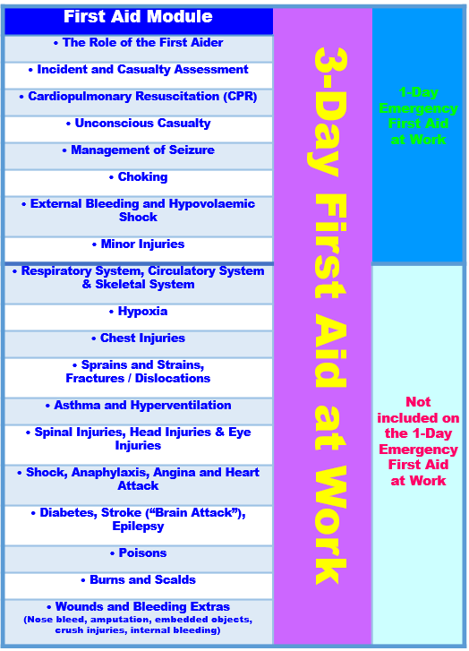 Emergency 1 Day First Aid at Work - Level 3 - Indrisec Ltd